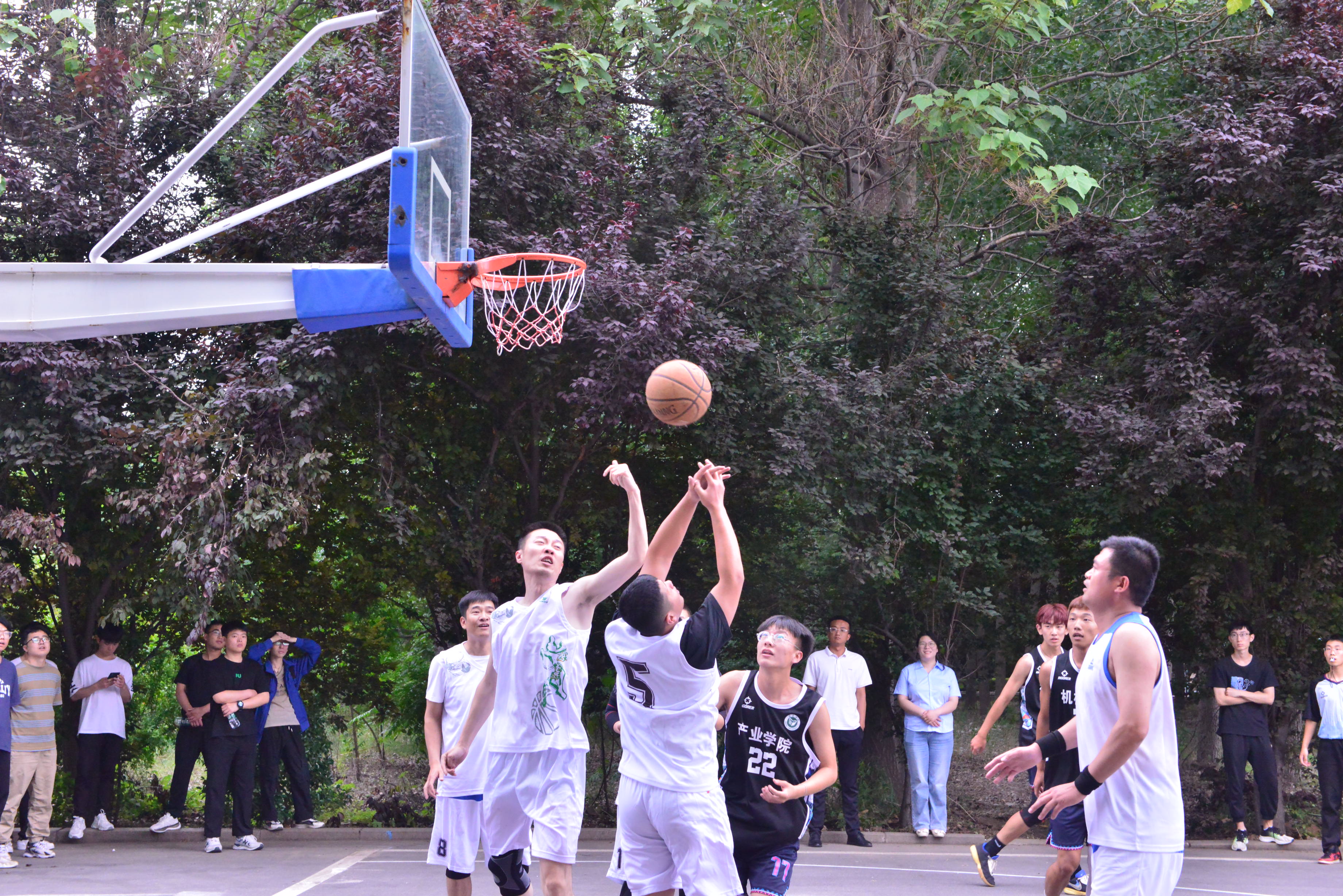 1686012017401059.jpg 9.JPG